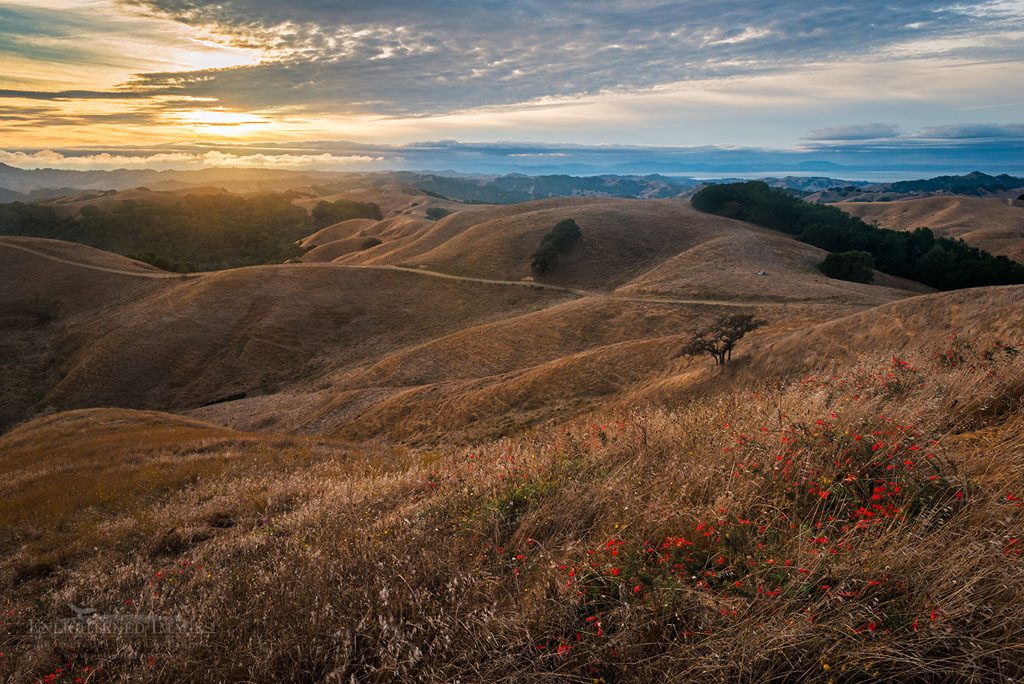 Sunset over rolling hills, Briones Regional Park, Contra Costa County, California