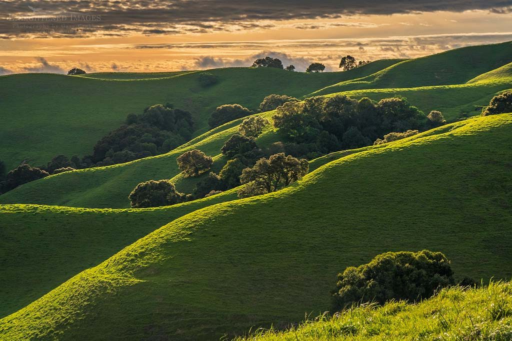 Photo: The rolling green hills of Briones Regional Park, Contra Costa County, California