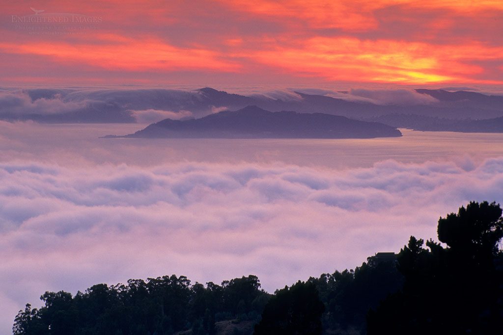 Photo: Fog banks roll into San Francisco Bay at sunset, from Berkeley Hills, California