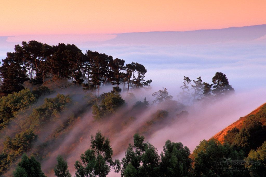 Photo: Fog at sunrise rolling in over the Berkeley Hills, Alameda County, California