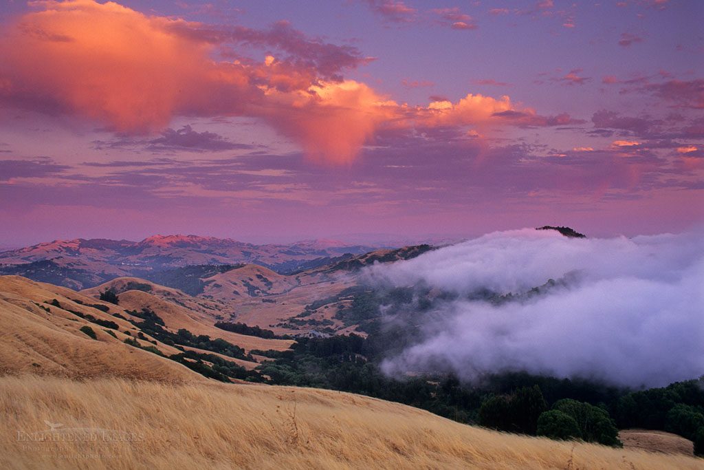 Photo: Fog rolling in over the Oakland Hills at sunset from SF Bay, near Orinda, Contra Costa County, California