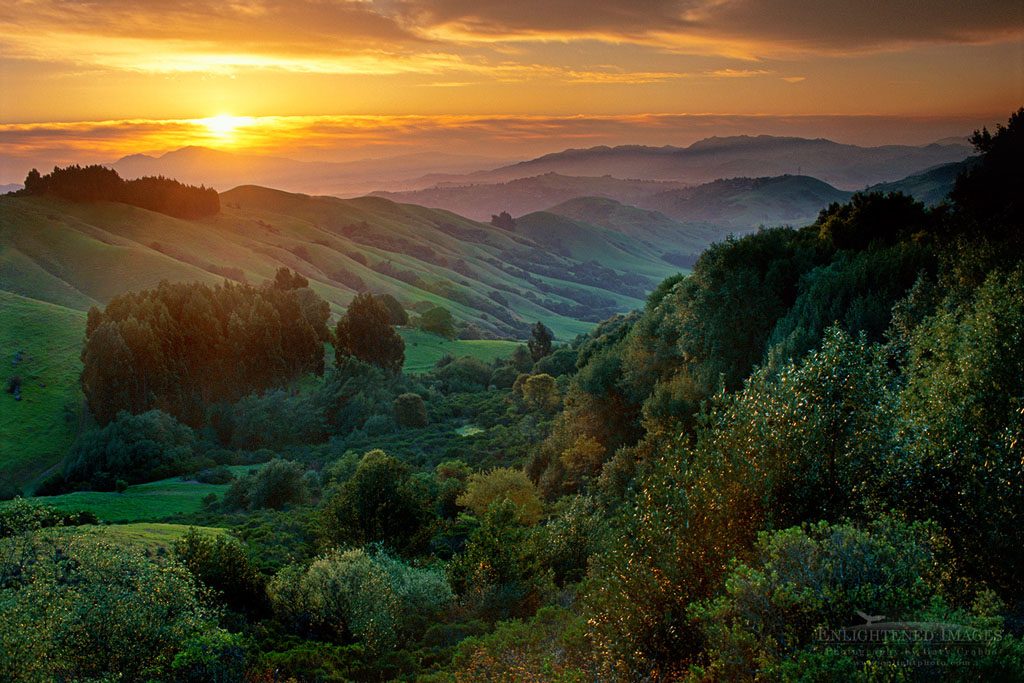 Photo: Spring sunrise over green hills, near Orinda, California