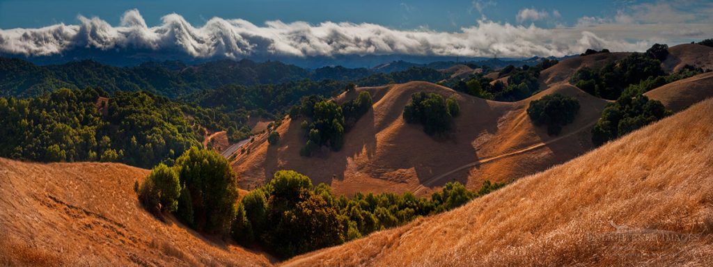 Photo: Kelvin-Helmholtz instability cloud over the Berkeley Hills, seen from the oak and grass-covered rolling hills of Briones Regional Park, California