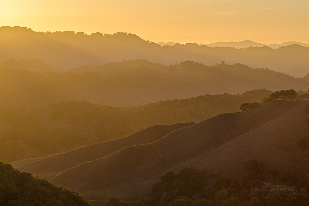 Photo: Sunset light over rolling hills, Briones Regional Park, Contra Costa County, California