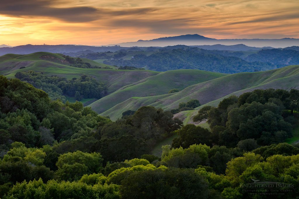 Photo: Sunset over the green east bay hills (looking toward Mount Tamalpais in distance) from Briones Regional Park, Contra Costa County, California