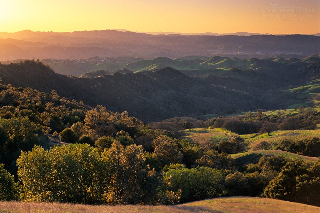 Photo: Sunset light on oak covered hillsides, Mount Diablo State Park, Contra Costa County, California