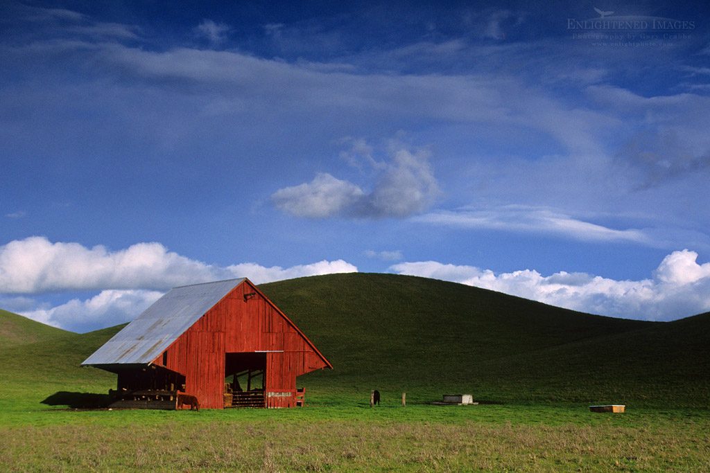 Barn and green pasture Tassajara region, Contra Costa County, California