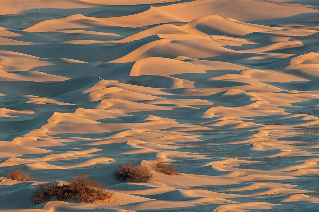 Photo: Sand dune pattern detail, Stovepipe Wells, Death Valley National Park, California