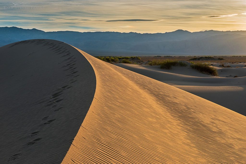 Photo: Sunset light and footsteps in sand on sand dune in the Mesquite Dunes, Death Valley National Park, California