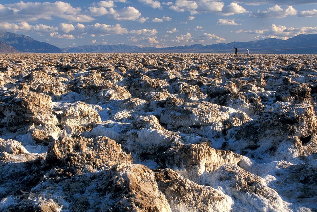 Photo: Tourists walking on salt encrusted rocks at Devlis, Golf Course, Death Valley National Park, California
