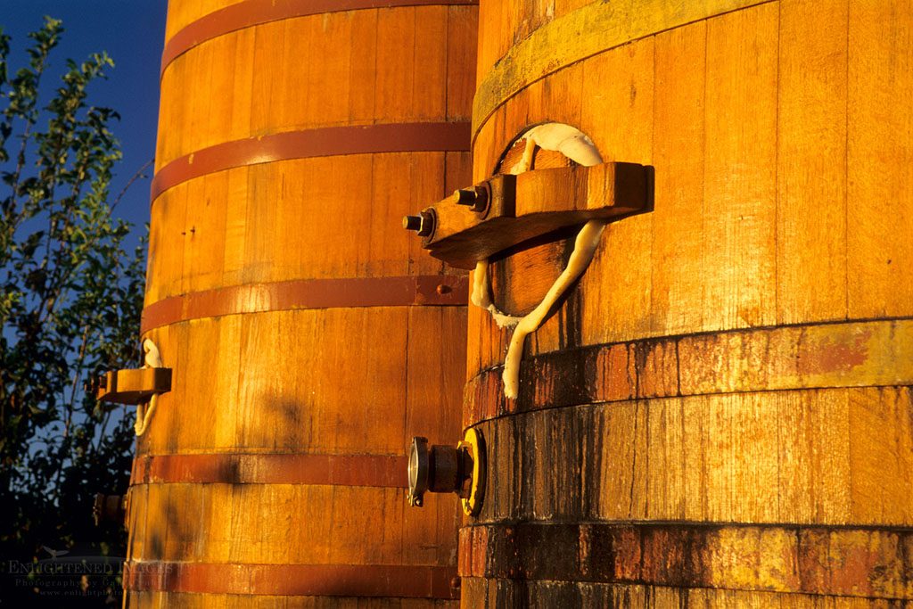 Photo: Sunrise light on wooden wine barrels at Bouchaine Vineyards, Carneros Region, Napa Valley, Napa County, California