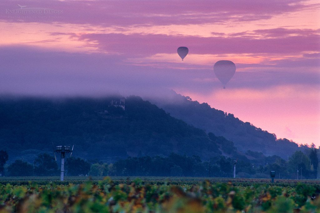 Photo: Hot Air Balloons in clouds and fog at sunrise over vineyards near Oakville, Napa County, California