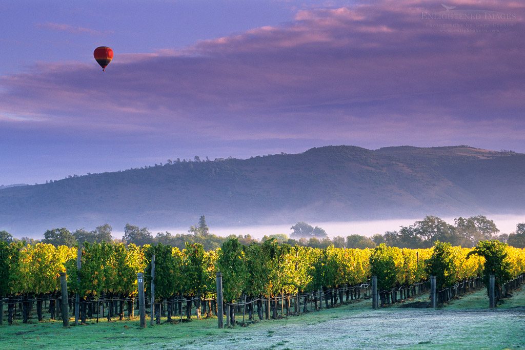 Photo: Hot air balloon and clouds at sunrise over vineyards near Oakville, Napa Valley, Napa County, California