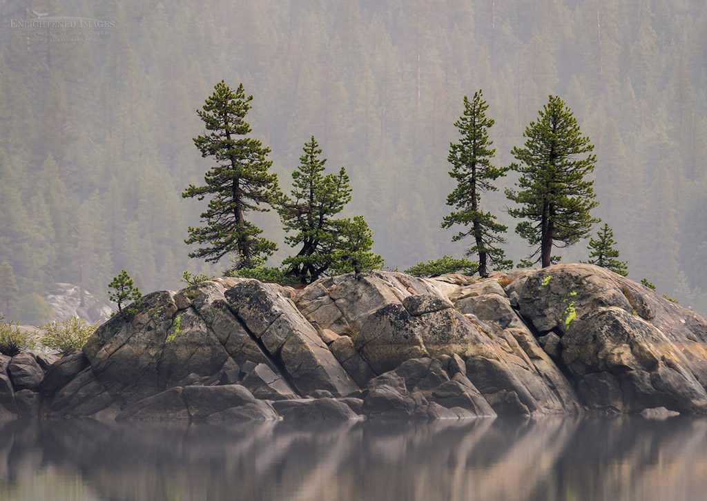 Photo: Trees on rock island in Lake Alpine, Stanislaus National Forest, Alpine County, California