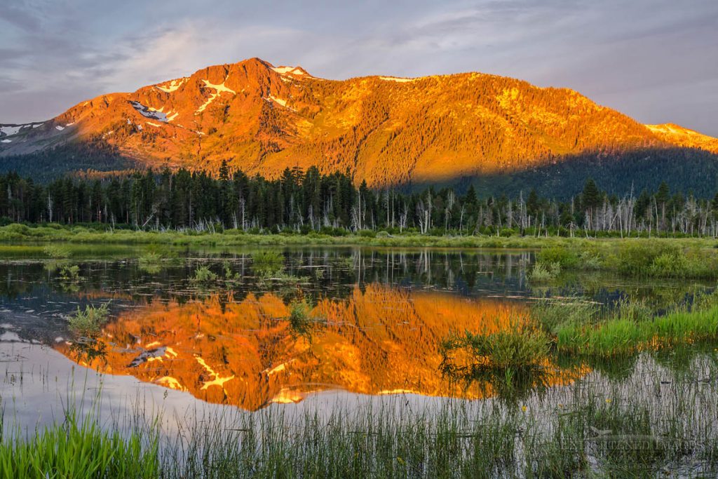Photo: Mount Tallac reflected in Taylor Creek, South Lake Tahoe, California