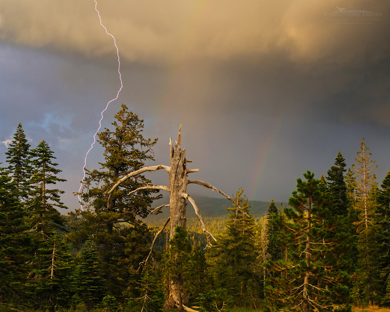 Lightning bolt, rainbow, & dead tree Photo: Lightning strike and double rainbow, Tahoe National Forest, Sierra County, California