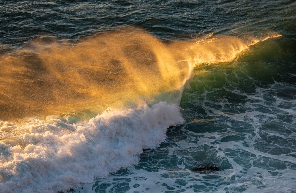 Photo: Sunset light catches the spindrift spray off a breaking wave at Point Reyes National Seashore, Marin County, California