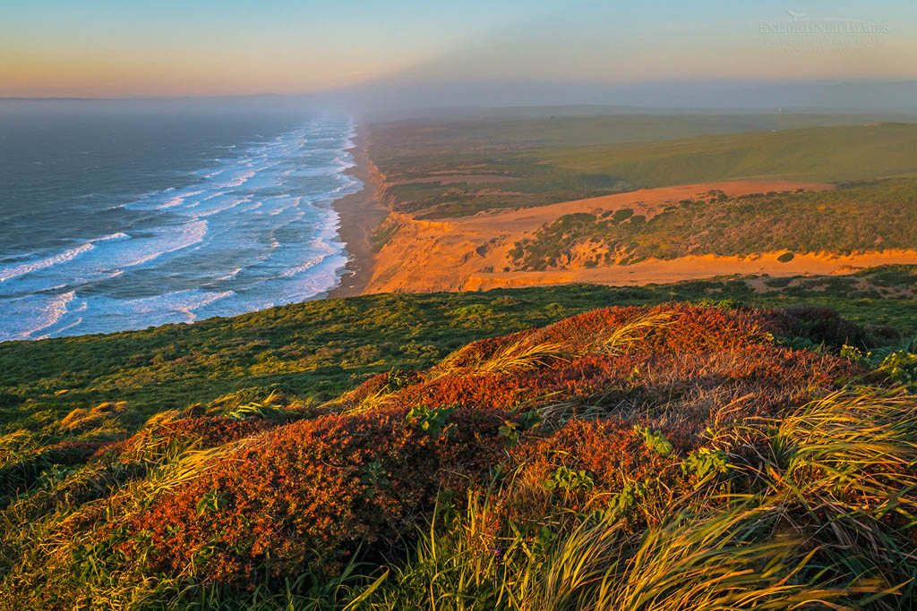 Photo: Overlooking the Great Beach at Point Reyes National Seashore, Marin County, California