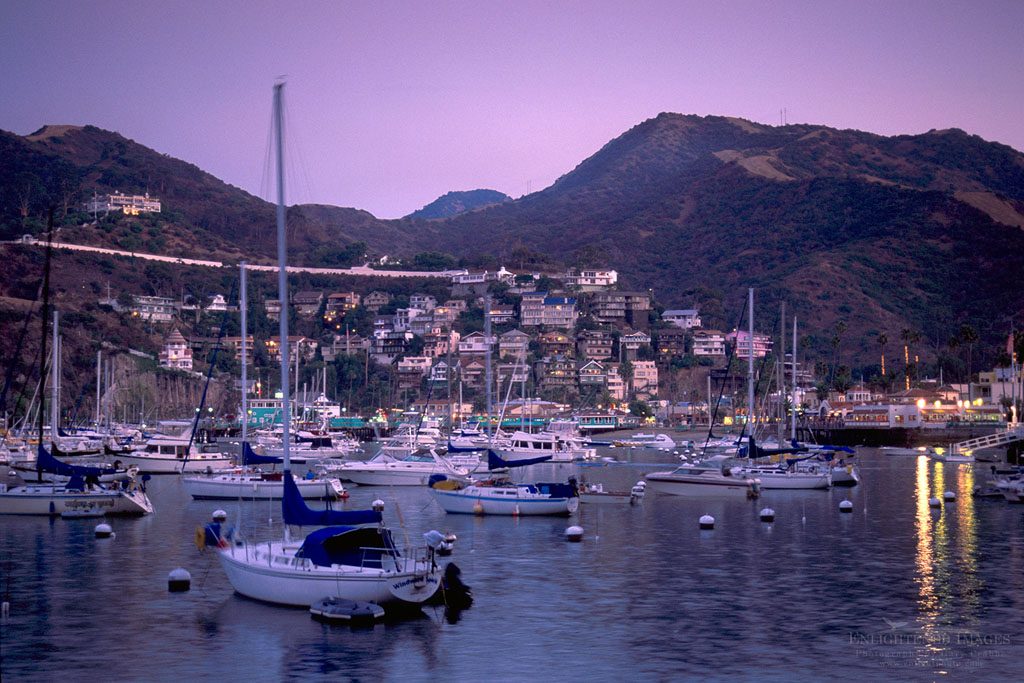 Photo: Purple evening sky over boats anchored in Avalon Harbor, Avalon, Catalina Island, California