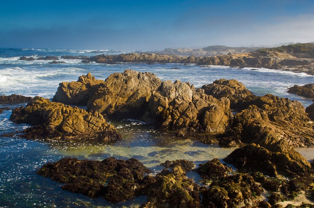 Photo: Coastal rocks and fog at Asilomar State Beach, Pacific Grove, Monterey Peninsula, California