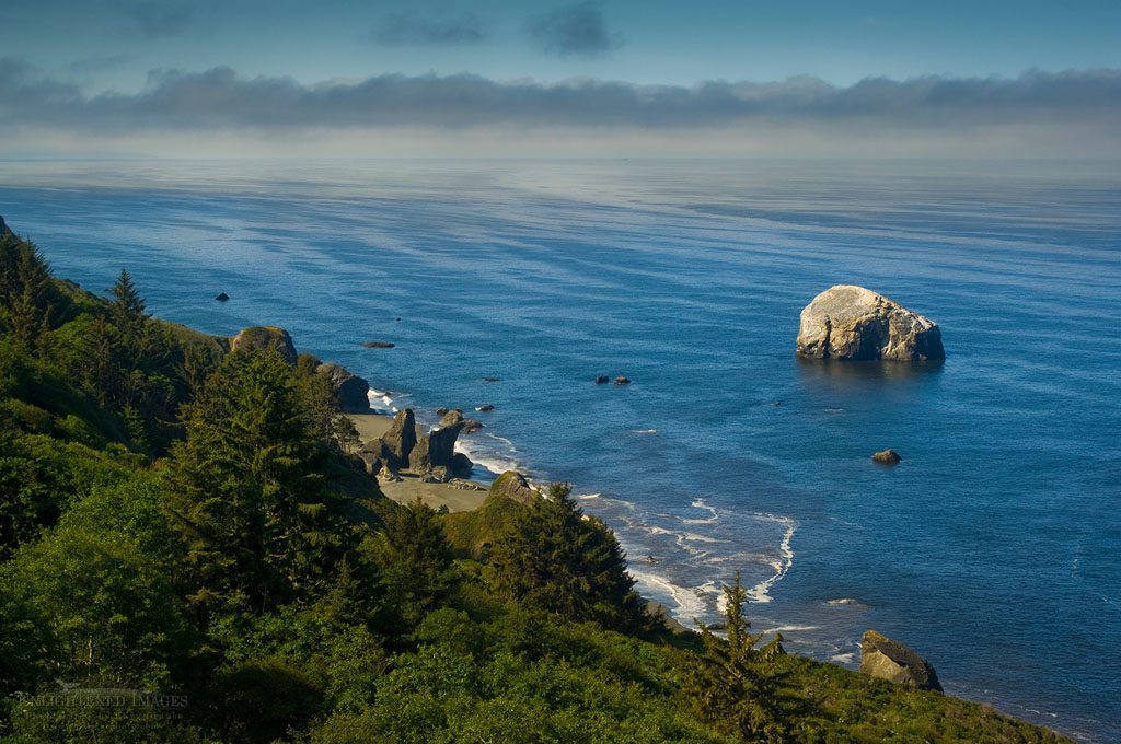 Photo: Coastal fog over a calm ocean at Redwood National Park, California