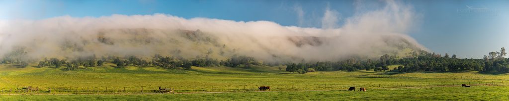 Photo: Orthographic fog pouring over hills near Jamestown, Tuolumne County in the Sierra foothills, California