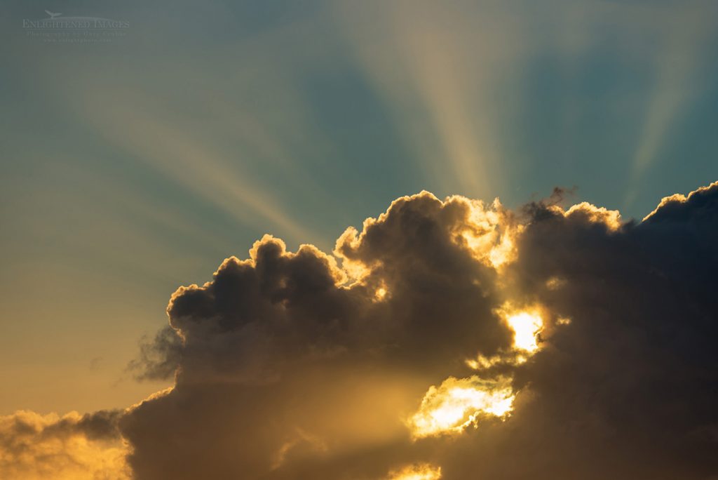 Photo: Crepuscular rays (sunbeams) at sunrise through cumulus clouds, Maui, Hawaii