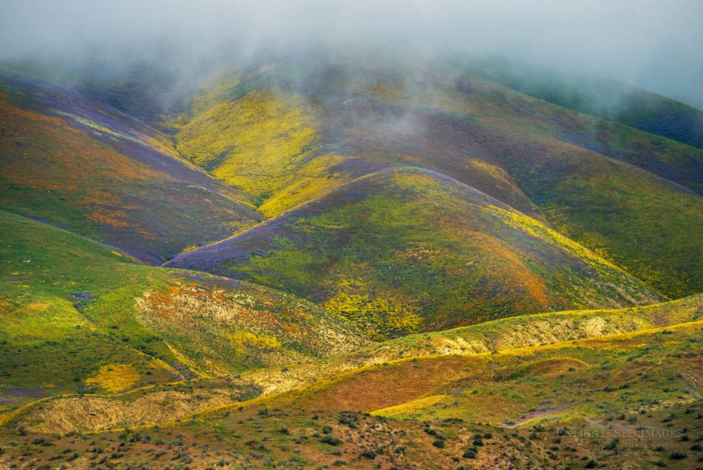 Photo: Storm clouds cling to hills covered with Wildflowers in spring, Carrizo Plain National Monument, California