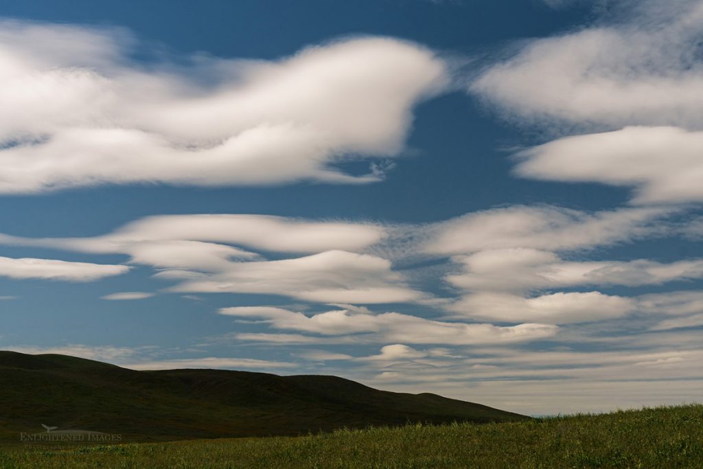 Photo: Altocumulus lenticularis clouds over the Carizzo Plain National Monument, California
