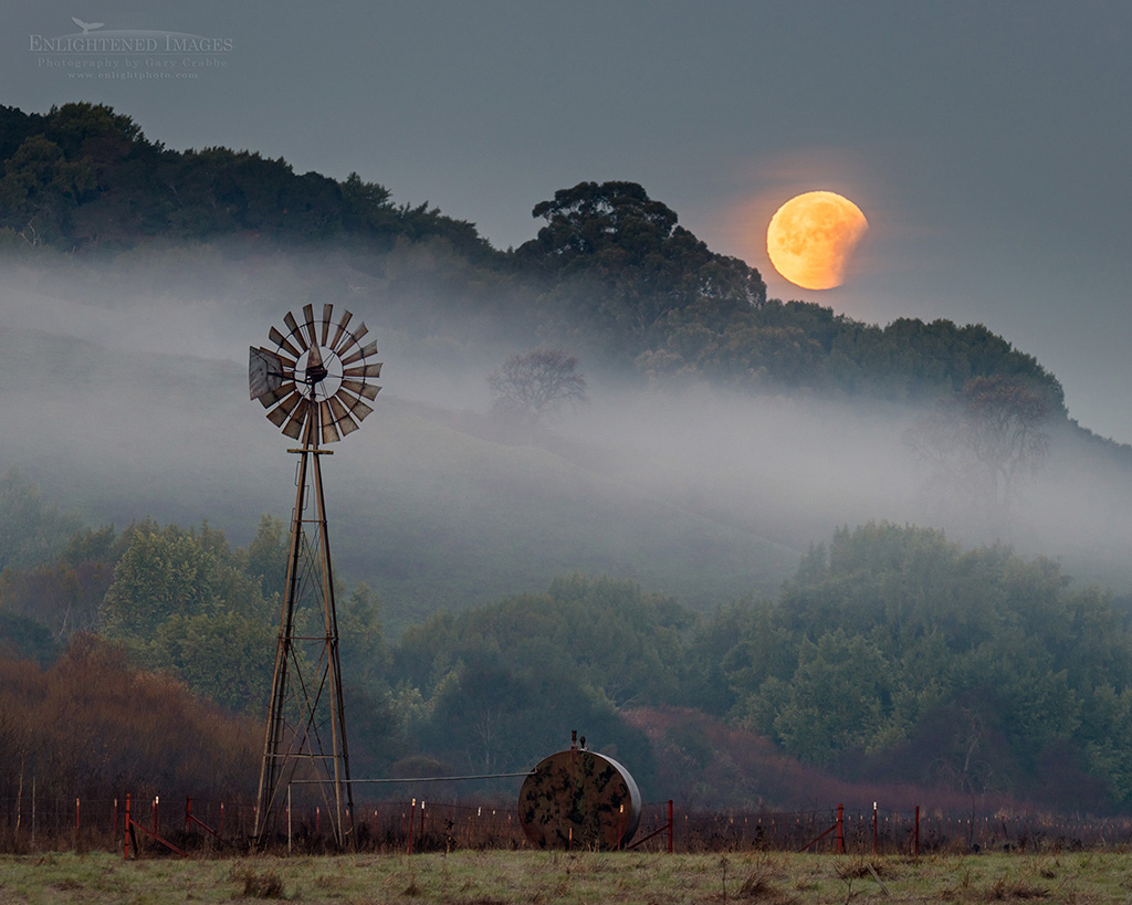 Image: Super Blue Blood Moon Lunar Eclipse sets next to windmill while coming out of totality in a rare 150-year convergence, Contra Costa County, California