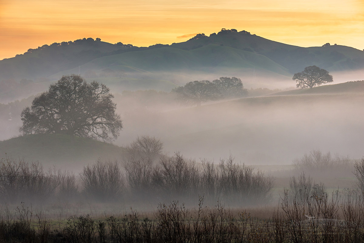 Image: Morning mist in the Alhambra Valley, Contra Costa County, California