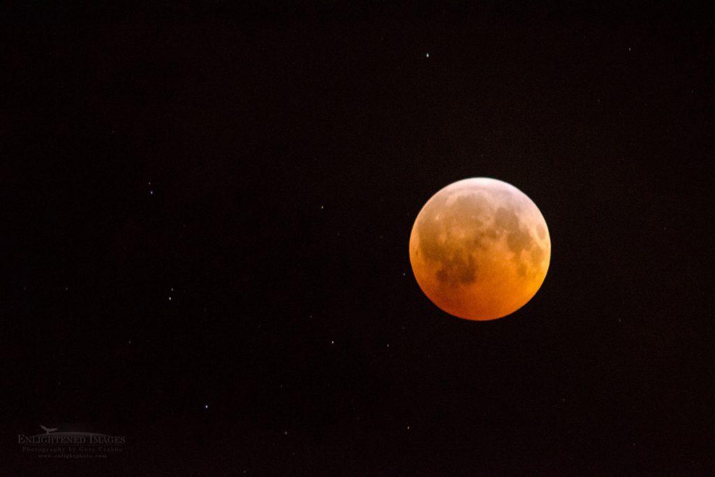Photo: Full moon colored orange while passing into the earth's shadow during a lunar eclipse