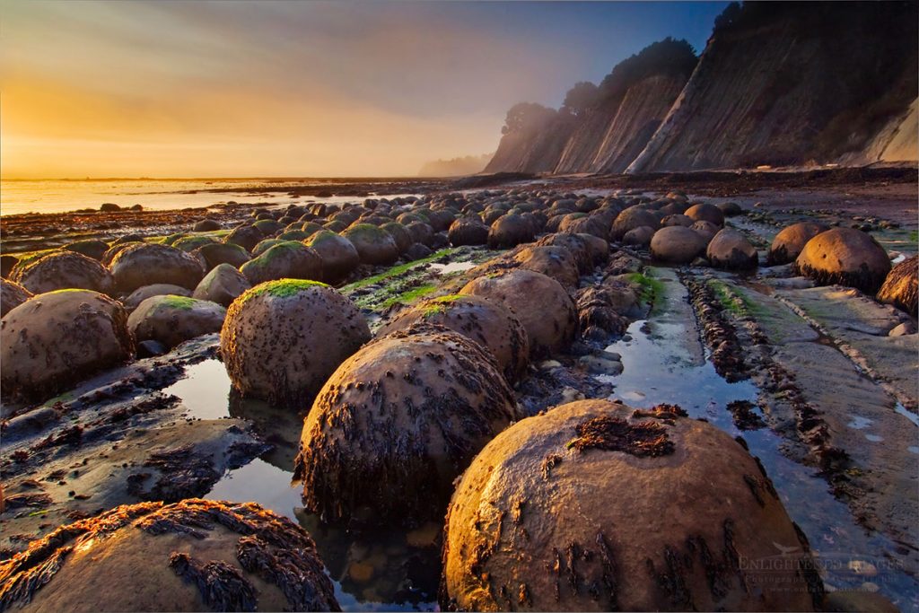 Photo: Sunset light on geological concretions at Bowling Ball Beach; Mendocino County, California
