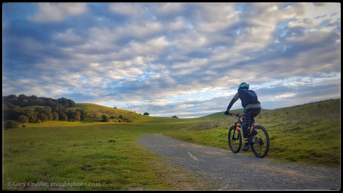 Image: Mountain biker riding on trail through Briones Regional Park, Contra Costa County, California