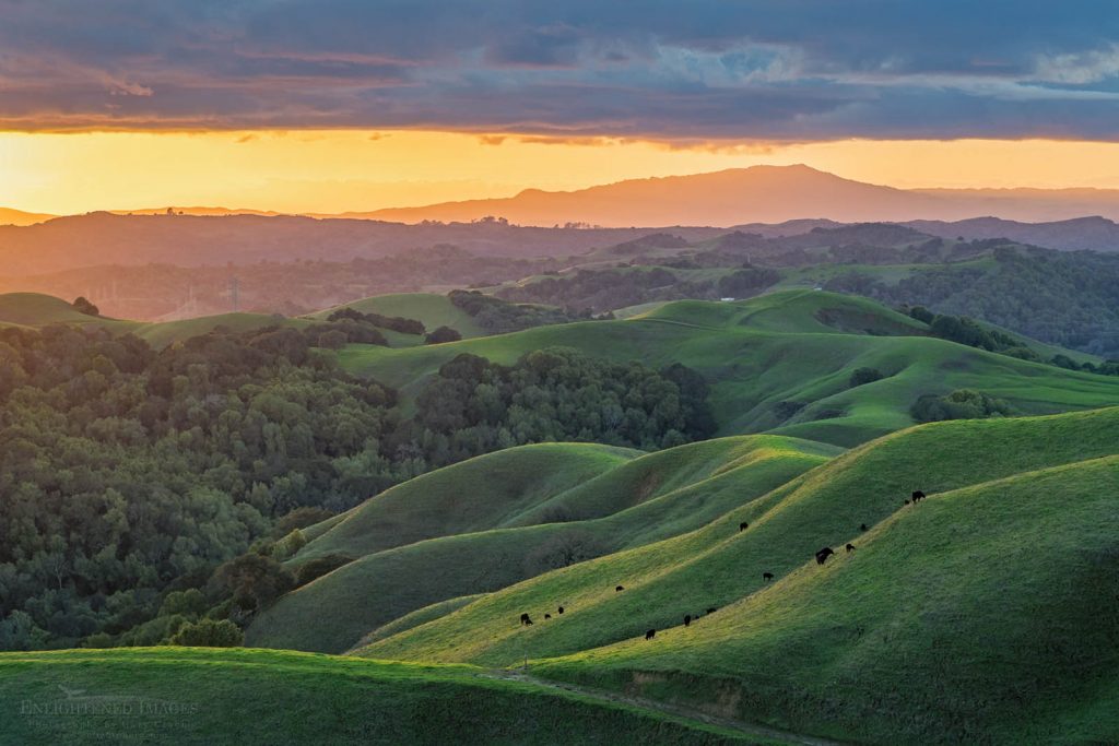 Photo: Sunset over the rolling green hills of Briones Regional Park, Contra Costa County, California