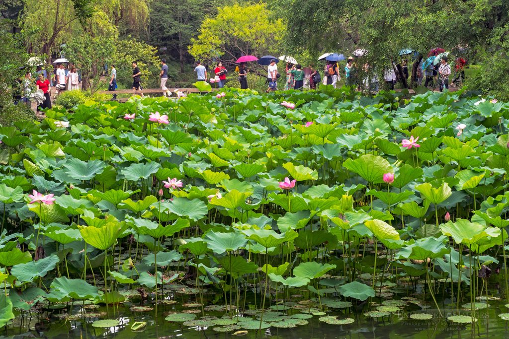 Photo: Visitors in The Humble Administrator Garden, a UNESCO World Heritage Site, Suzhou, jiangsu Province, China