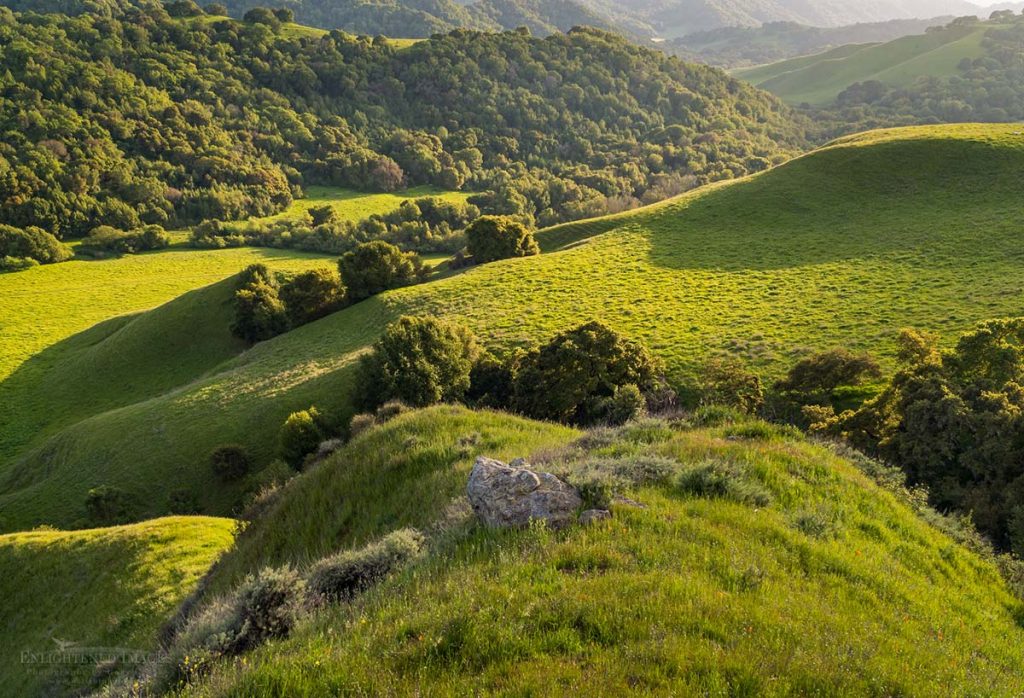 Picture of Green hills in spring, Briones Regional Park, Contra Costa County, California