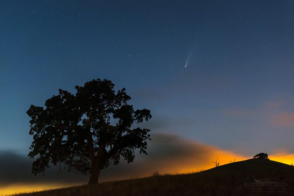 Photo: Comet Neowise over oak tree in the Alhambra Valley, Contra Costa County, California; July 2020