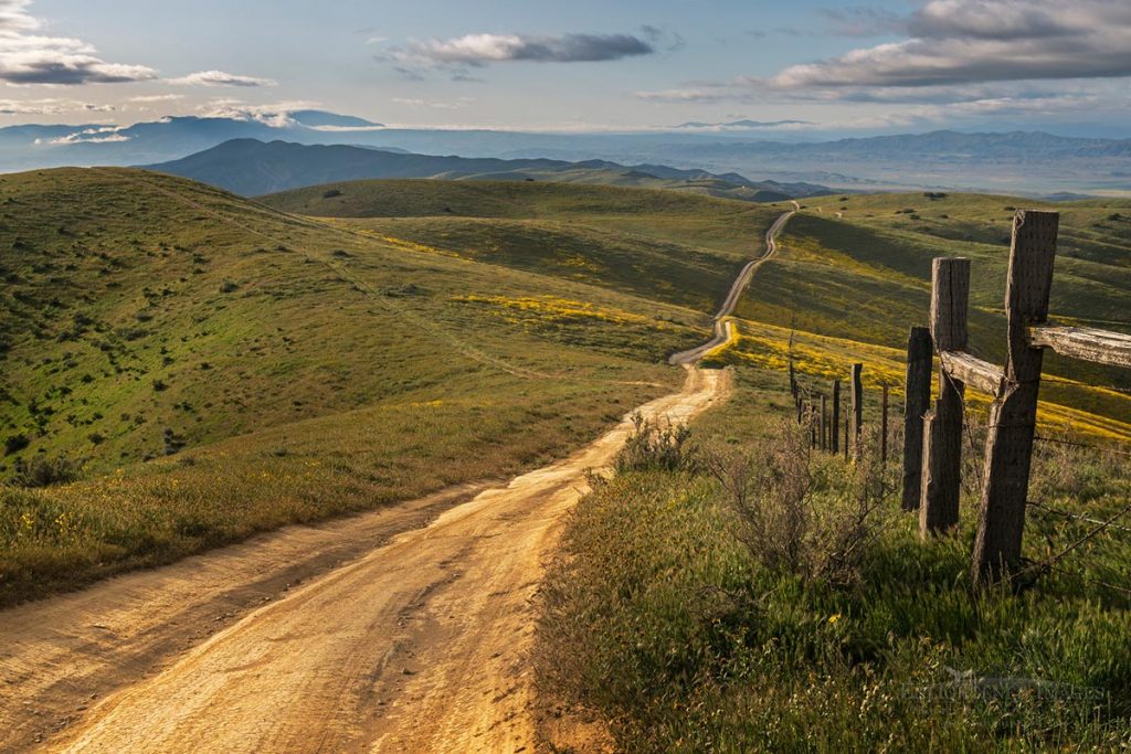 Photo picture of Dirt road and fence along the rolling green hills of the Temblor Range, Carrizo National Monument, California