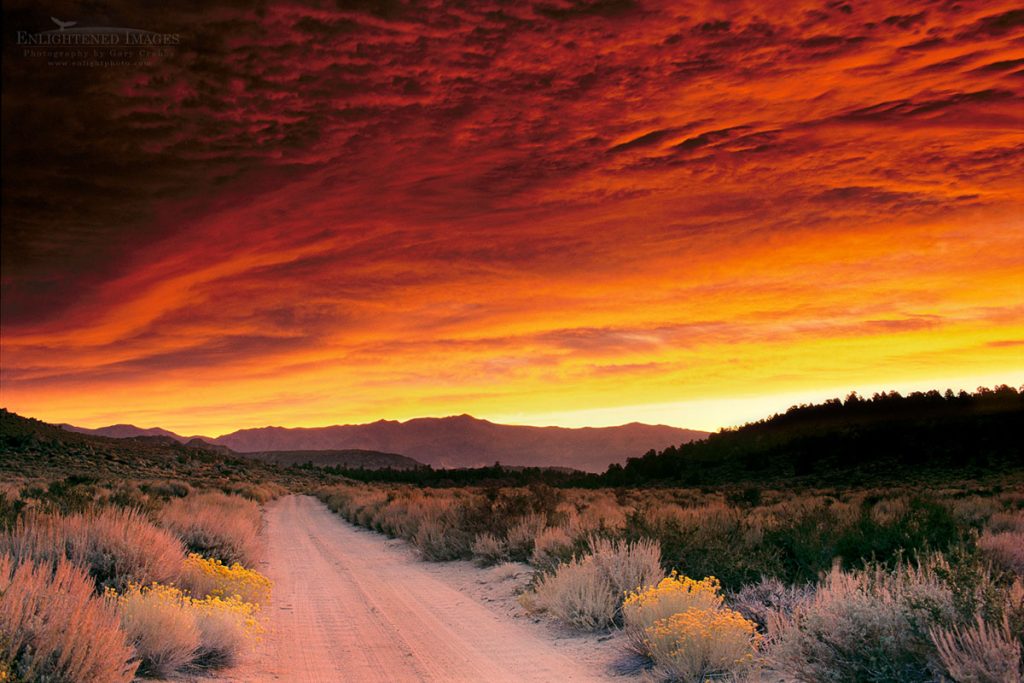 Photo of Alpenglow at sunrise on storm clouds over rural dirt road in the Eastern Sierra near Tom's Place, Inyo County, California