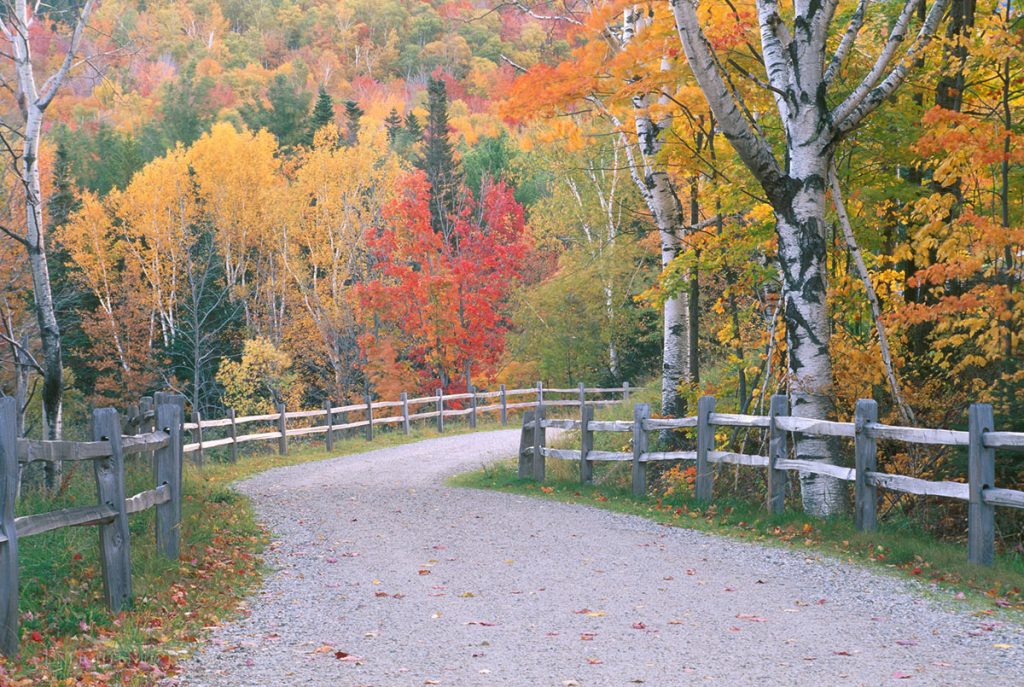 Photo picture of Dirt road and wooden fence through a forest of fall colors on trees in autumn in the White Mountains, New Hampshire