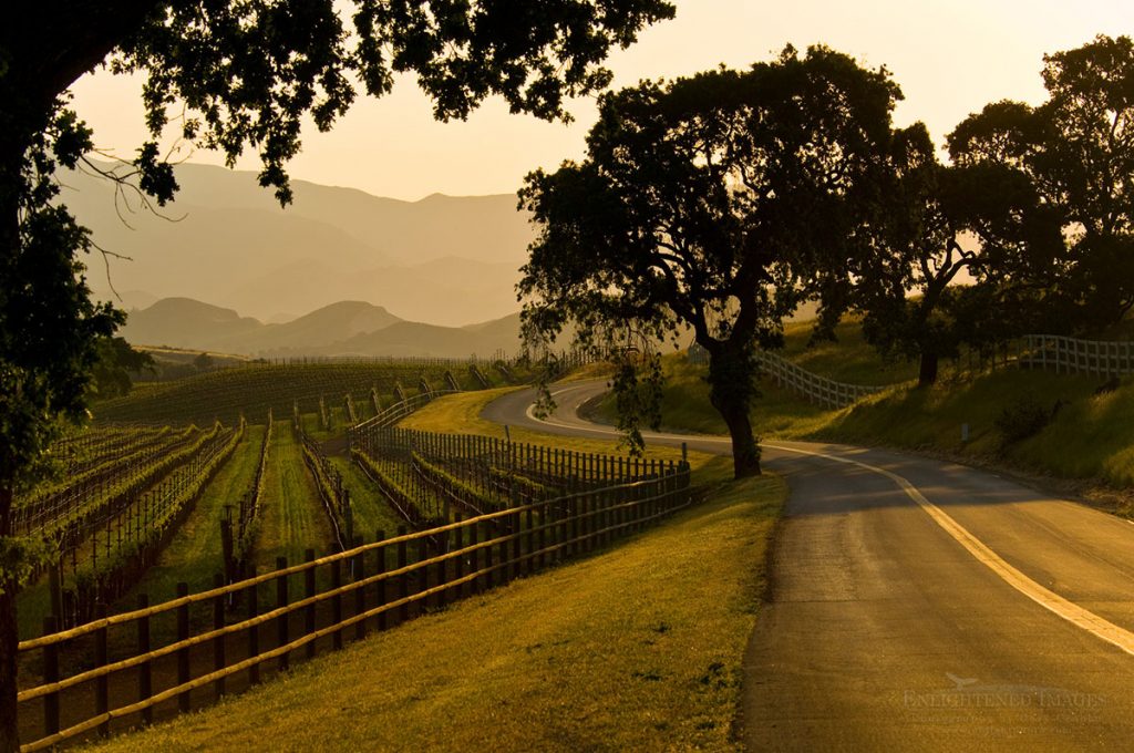 Photo picture of Vineyard and country road in the Santa Ynez Valley, Santa Barbara County, California