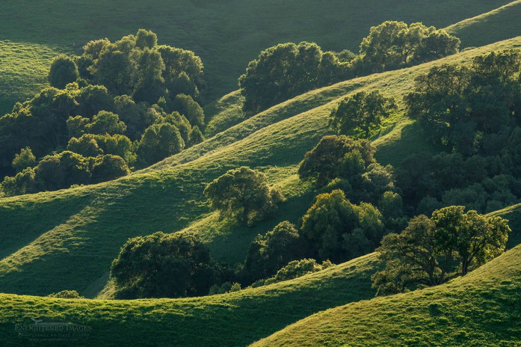 Photo Picture of Green hills and oak trees in spring, Briones Regional Park, Contra Costa County, California