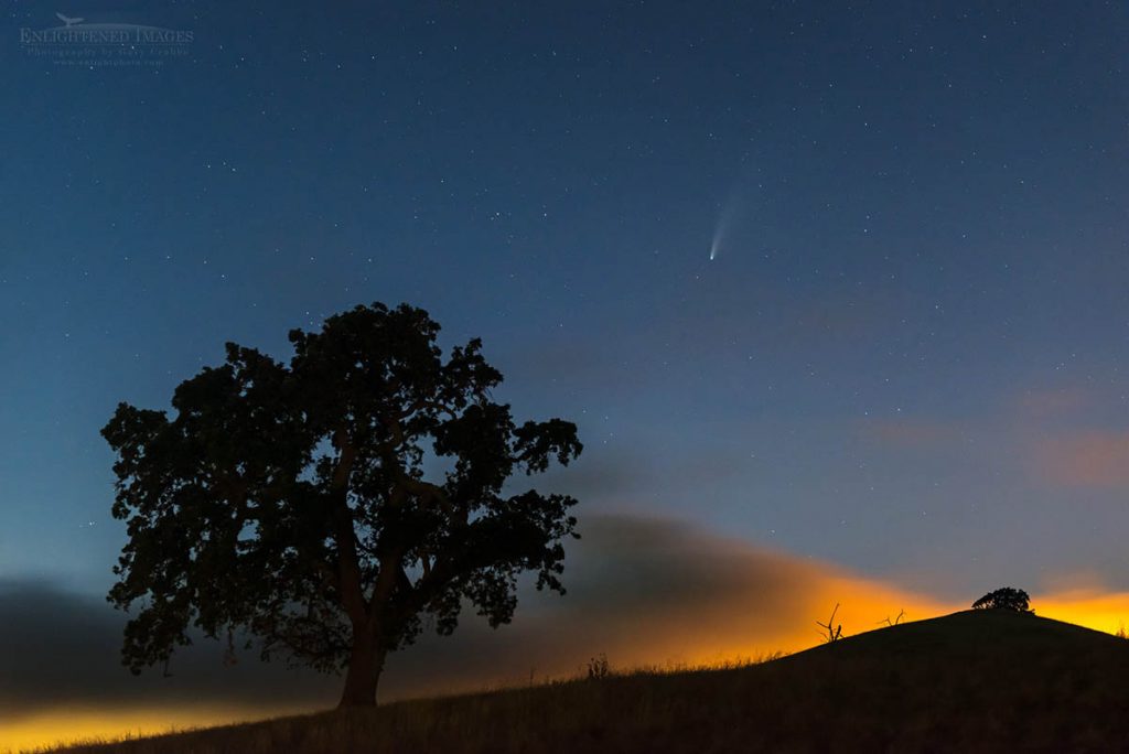 Photo Picture of Comet Neowise over oak tree in the Alhambra Valley, Contra Costa County, California; July 2020