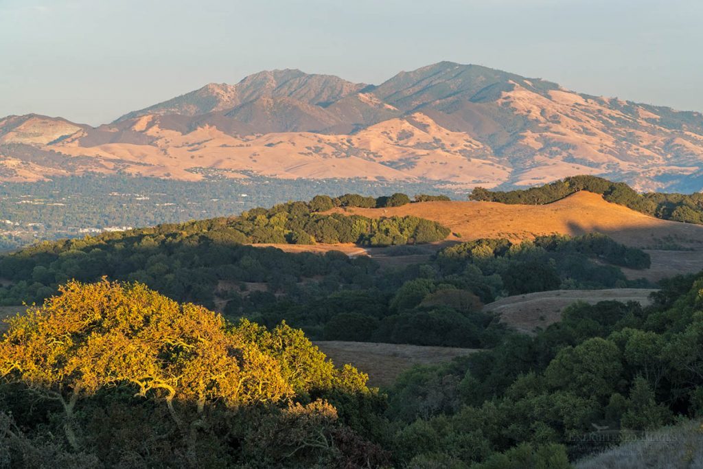 Photo Picture of Mount Diablo as seen from Briones Regional Park, Contra Costa County, California
