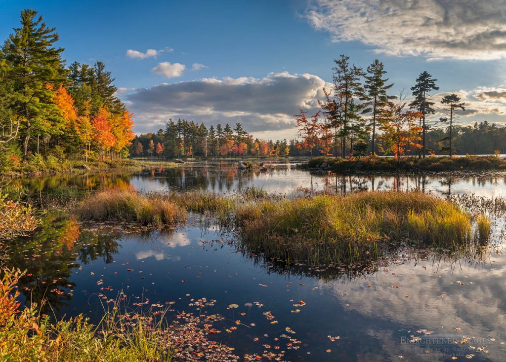 Photo Picture of Autumn afternoon by a pond in Massachusetts