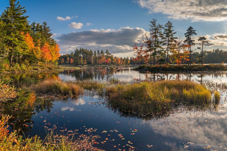 Photo Picture of Autumn afternoon by a pond in Massachusetts