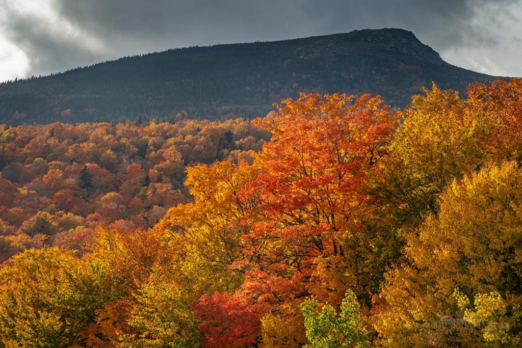 Photo picture of Fall colors in the White Mountain National Forest, New Hampshire