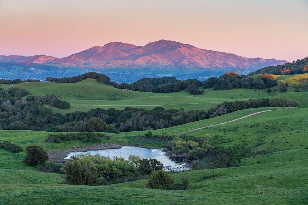 Photo picture of Sunset light on Mount Diablo seen over a lagoon and the green hills of Briones Crest, Briones Regional Park, Contra Costa County, California
