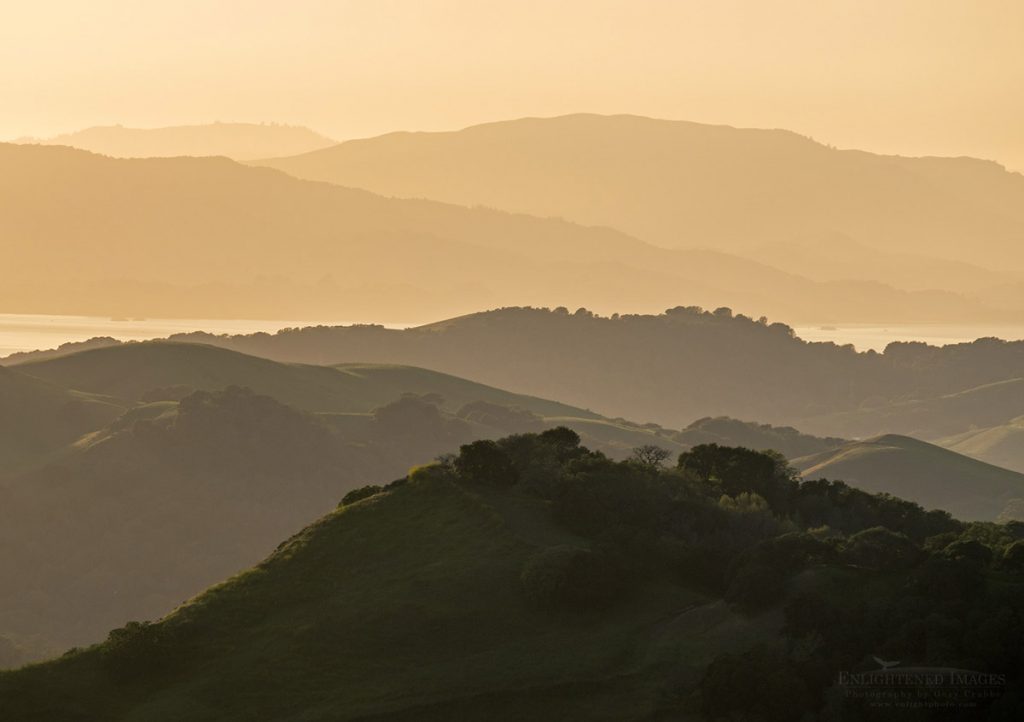 Sunset light over the rolling green hills of the East Bay from the Briones Crest, Briones Regional Park, California